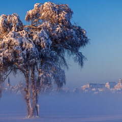 Altshausen erwacht nach klirrender Winternacht