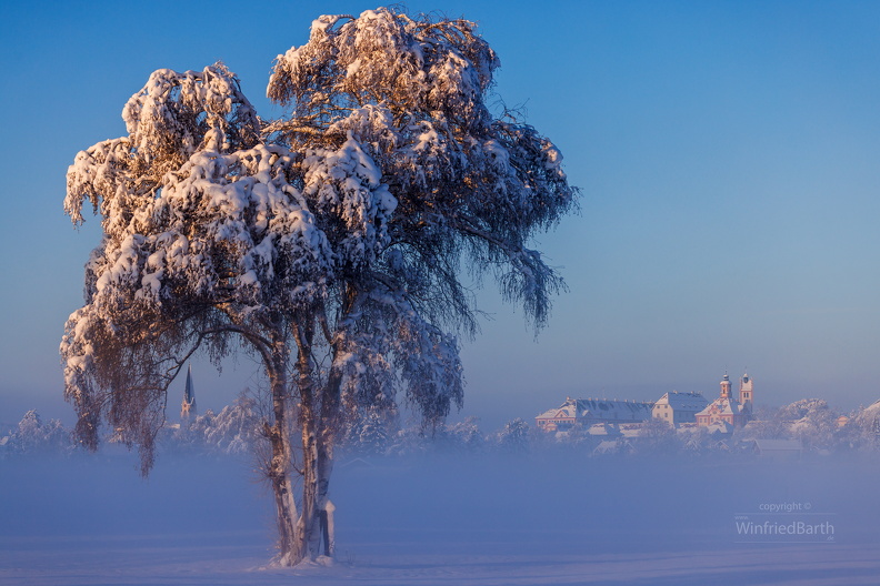 Altshausen_erwacht_nach_klirrender_Winternacht.jpg