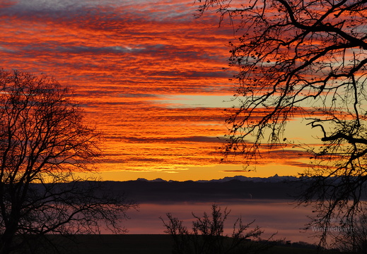 Morgenrot