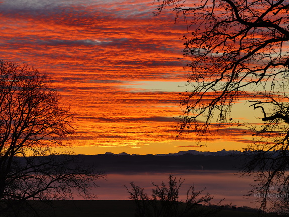 Morgenrot