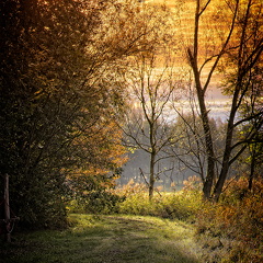 Sonnenaufgang -Erlebniswanderweg Altshauser Weiher -HDR-Bild