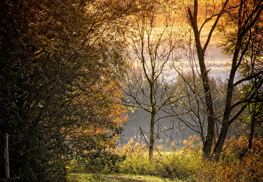 Sonnenaufgang -Erlebniswanderweg Altshauser Weiher -HDR-Bild