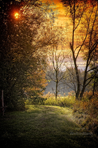 Sonnenaufgang_-Erlebniswanderweg_Altshauser_Weiher_-HDR-Bild.jpg