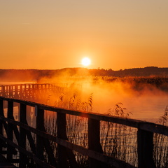 Sonnenaufgang am Federsee 1