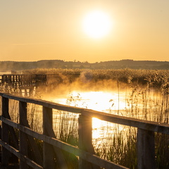 Sonnenaufgang am Federsee 3