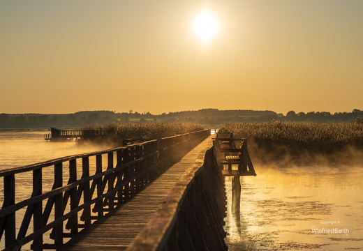Sonnenaufgang am Federsee 4