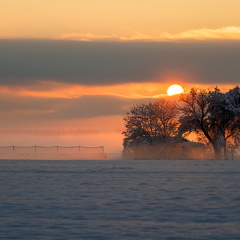 Sonnenaufgang am Modellflugplatz Altshausen