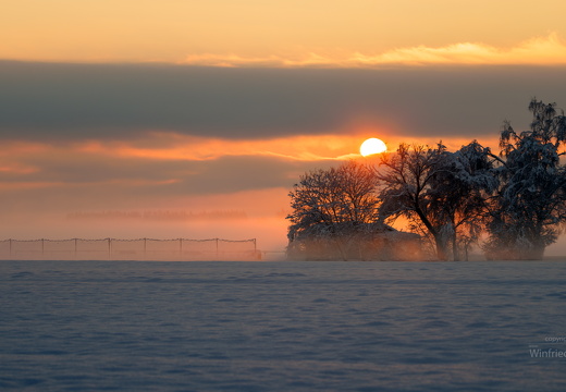 Sonnenaufgang am Modellflugplatz Altshausen