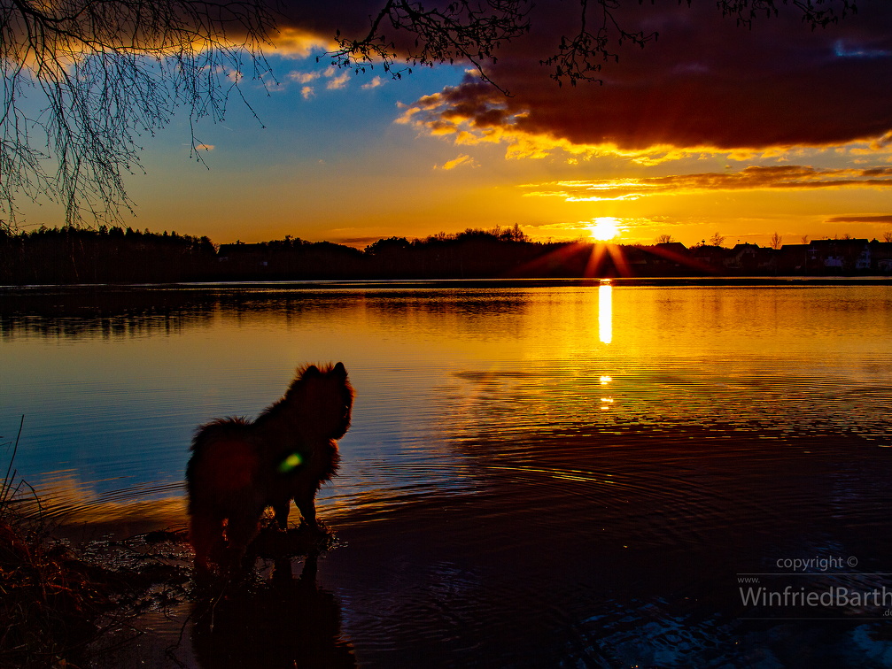 Sonnenuntergang am Vorsee