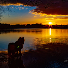 Sonnenuntergang am Vorsee