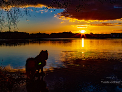 Sonnenuntergang am Vorsee