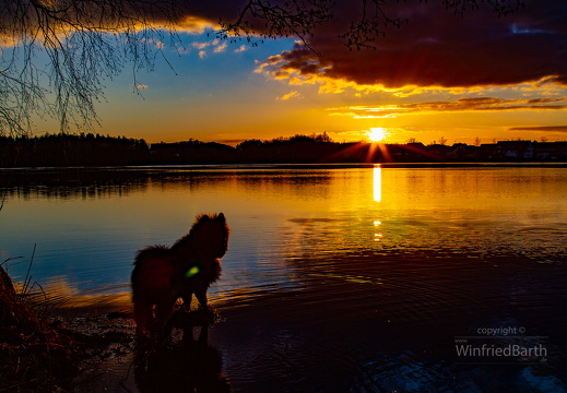 Sonnenuntergang am Vorsee