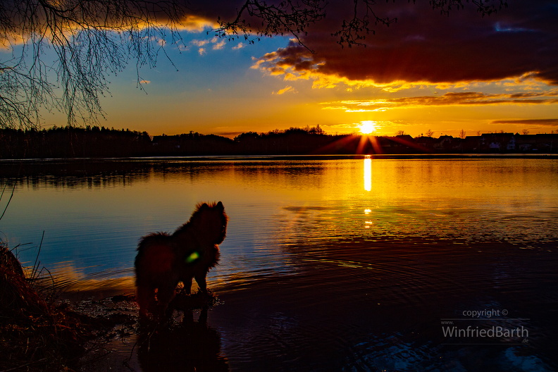 Sonnenuntergang_am_Vorsee.jpg