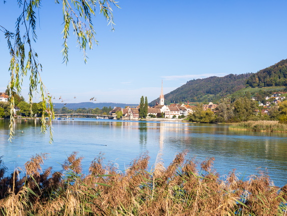 Stein am Rhein Panorama