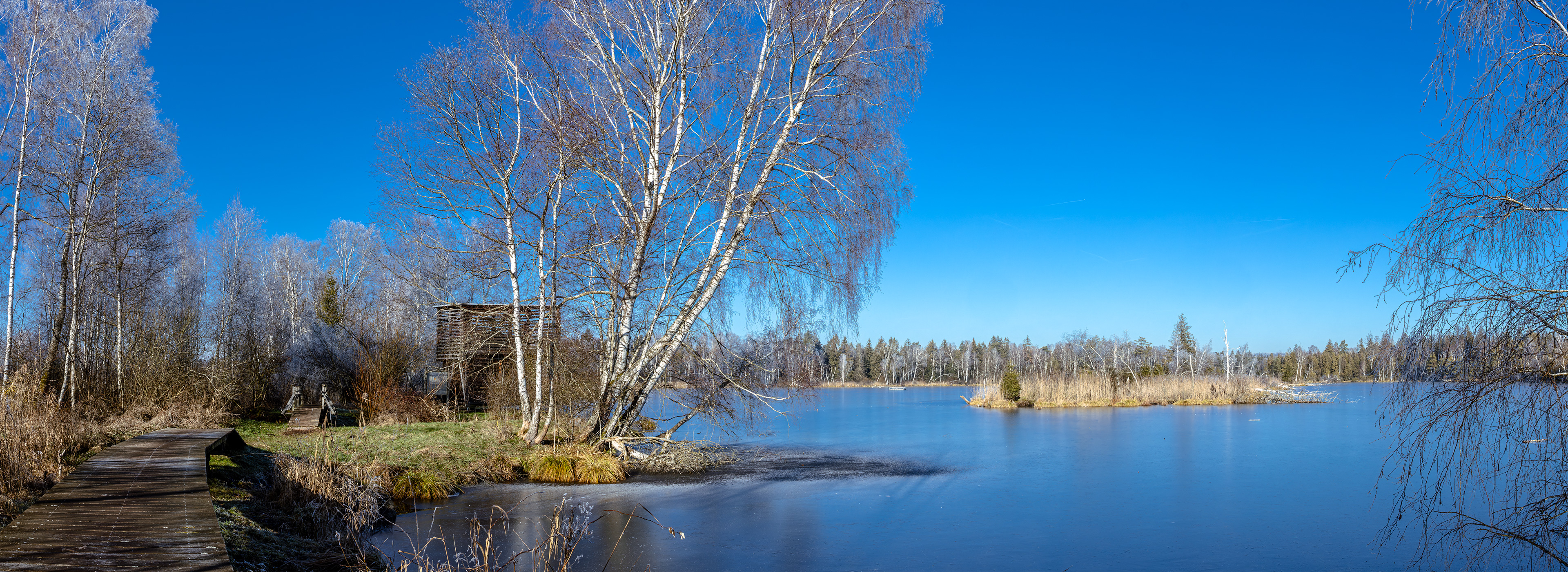 Pfrunger Burgweiler Ried
