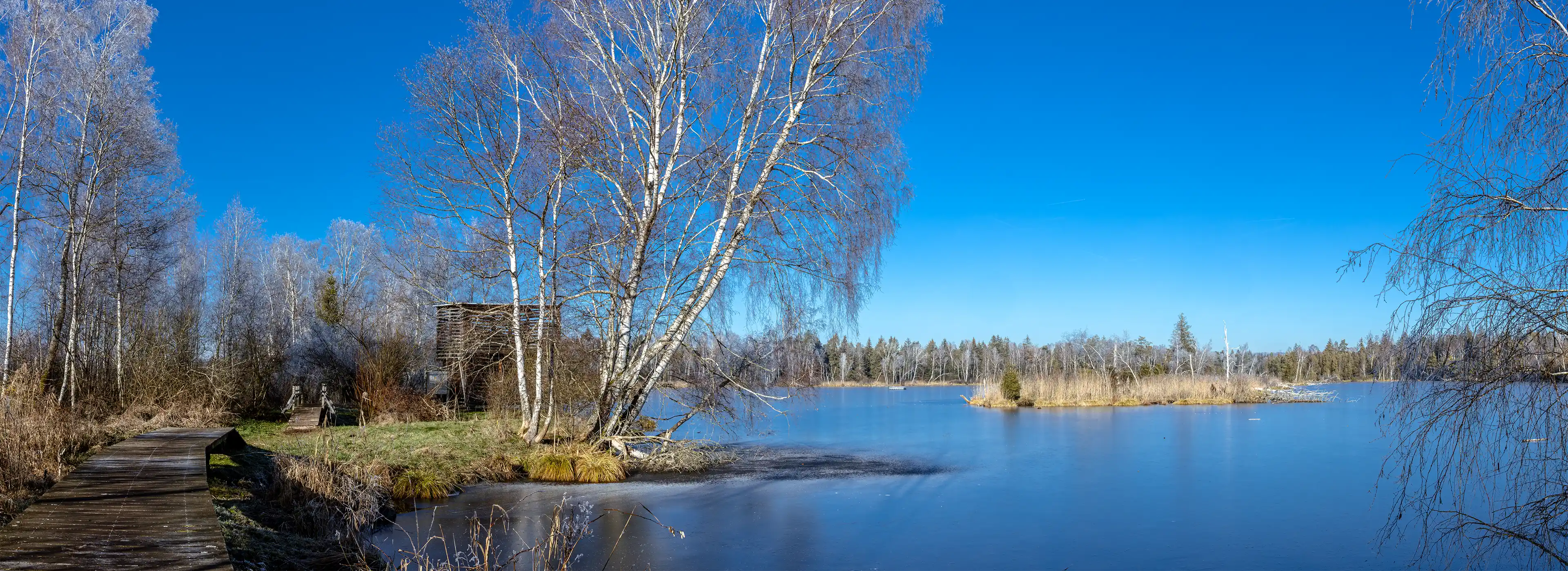 Pfrunger-Burgweiler_Ried